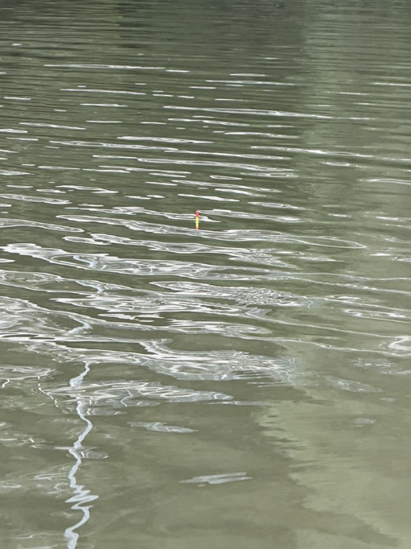 a11a4fb608cf7c5c50068a68e6efadea_1760154