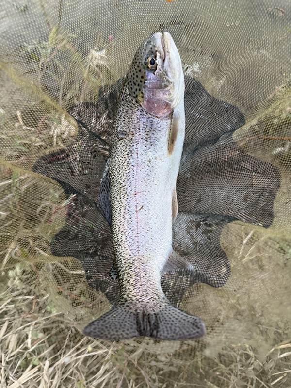 a11a4fb608cf7c5c50068a68e6efadea_1760154