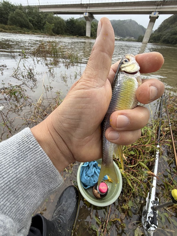 a11a4fb608cf7c5c50068a68e6efadea_1760154