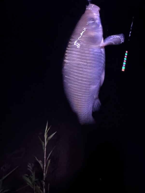 a11a4fb608cf7c5c50068a68e6efadea_1760154