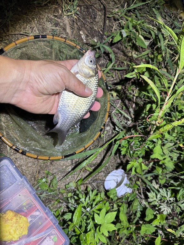 a11a4fb608cf7c5c50068a68e6efadea_1760154