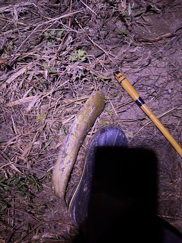 a11a4fb608cf7c5c50068a68e6efadea_1760154